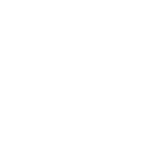 City Boy Movement